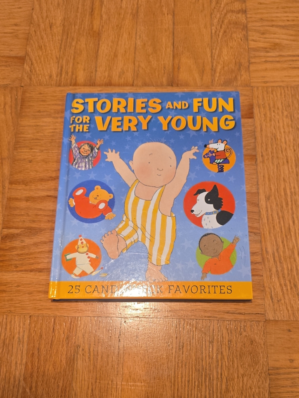 Stories and Fun for the Very Young - Blue Kids Story Book